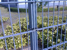1.8m high Galvanized PVC Coated Iron Welded Wire Mesh Fence Panel For Security