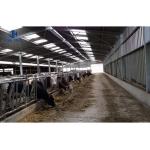 Roller Door Prefabricated Steel Structure Cow House for Poultry Shed Commercial