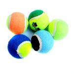 ball dog