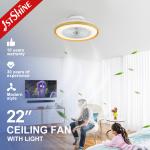 Dimmable LED Ceiling Fan with Remote and High Airflow 110-240V/50Hz-60Hz Low