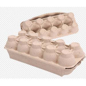 Fully Automatical Energy Saving Egg Carton Forming Machine 600 Pcs / H