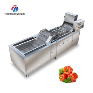 China Industrial Fruit And Vegetable Washing Machine Adjustable Temperature factory