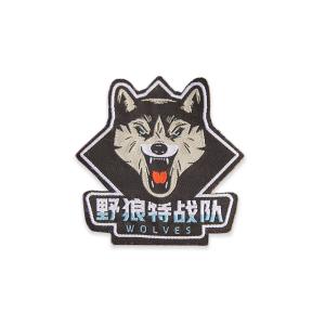 China Woven Embroidered Business Logo Patches Velcro For Company Hats OEM ODM factory