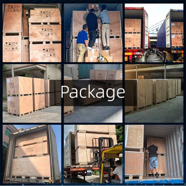 Ingani Dtf Printer 60cm 30cm 8 Colours Fluorescent I3200 Dtf Printer With Powder Shaker and Oven