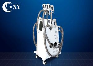 China Ce Certificate Salon Cryolipolysis Slimming Machine For Fat Loss factory