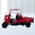 12V Voltage 3 Wheels Motorcycle Motorized Cargo Tricycle 10-20L