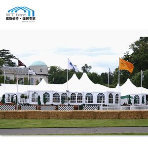 Beautiful Custom Made Tents Fire Retardant Easily Dismantled