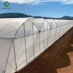 Vegetables Fruits Growing Gothic Shaped Greenhouse PO PEP Plastic Film Covering