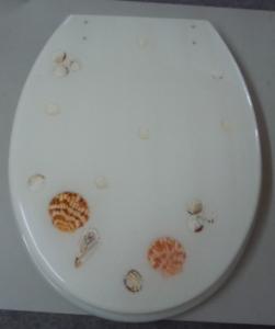 China WC-Sitze cover factory