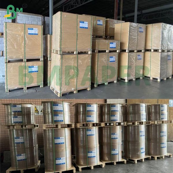 38gsm 100% Biodegradable 1050mm Grease Resistance White Pelleaglio Paper For Food Wrapping