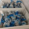 Buy cheap No Additives Natural Salted Sheep Casing 22/24mm 24/26mm from wholesalers