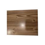 Wood Grain Printing Color Coated Steel Coil ASTM A755 EN 10346