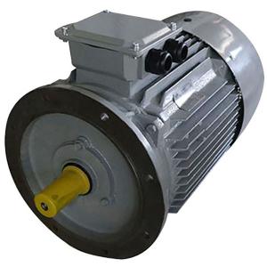 China Square Cage 0.75kw 1Hp Eff1 Eff2 Three Phase Induction Motor factory