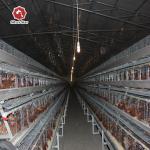 A Frame Hot Dipped Layer Battery Chicken Cage 4 Layers / Cell