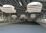 2.2kw Shutter Exhaust Ventilation Cooling Cattle Barn Fans