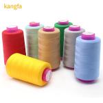 OEM/ODM Accepted 100g 20s/2 Polyester Sewing Thread in 1000 Colors for Textile