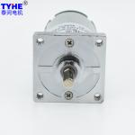 IE3 Miniature RS528 5 watts low speed high torque 6v dc gear reduction motor for