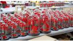 rose gift Factory Wholesale Eternal Beautiful Forever Little Prince Roses