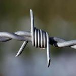 Barbed Wire 2 Strands 4 Points Eco-friendly African Double Twist Razor Wire