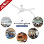52 Inch DC Motor Energy-Saving Luxury White LED Light Ceiling Fan with Light 5