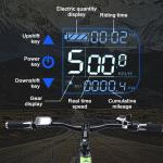 High Speed Motor 28 MPH Electric Bike Soft Tail Frame