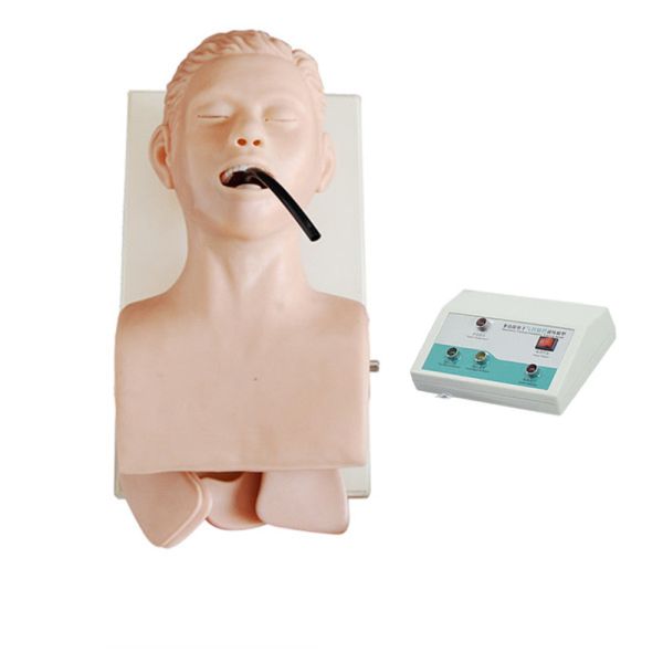 China Silicone Infant Cpr Manikins With Electronic Alarm factory