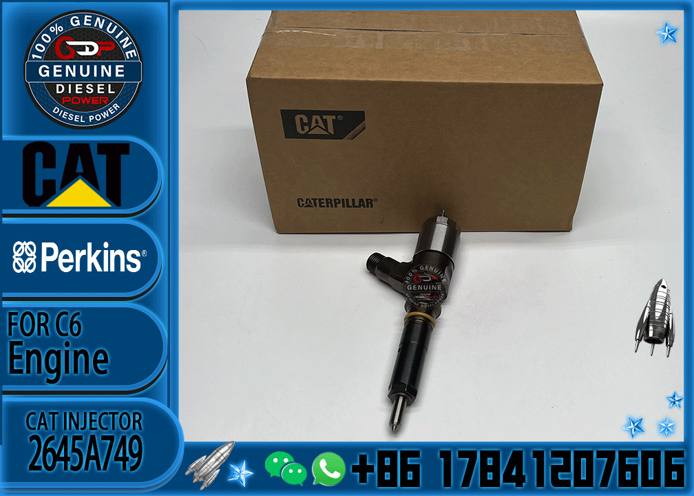 320-0690 3200690 2645A749 Fuel Injector Common Rail Injector For C6.6 Engine