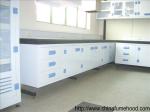 PP Drawer Chemistry Lab Furniture , Epoxy Resin Countertops Science Lab Benches