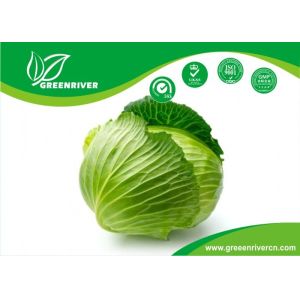 Green organnic Cabbage seeds in Black / Red , OC Certification