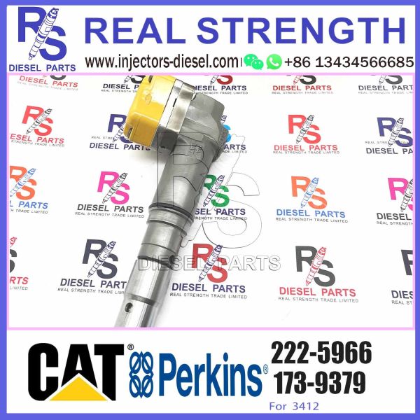 10R-9000 229-8842 0R-9348 222-5966 Common Rail Injector 3126