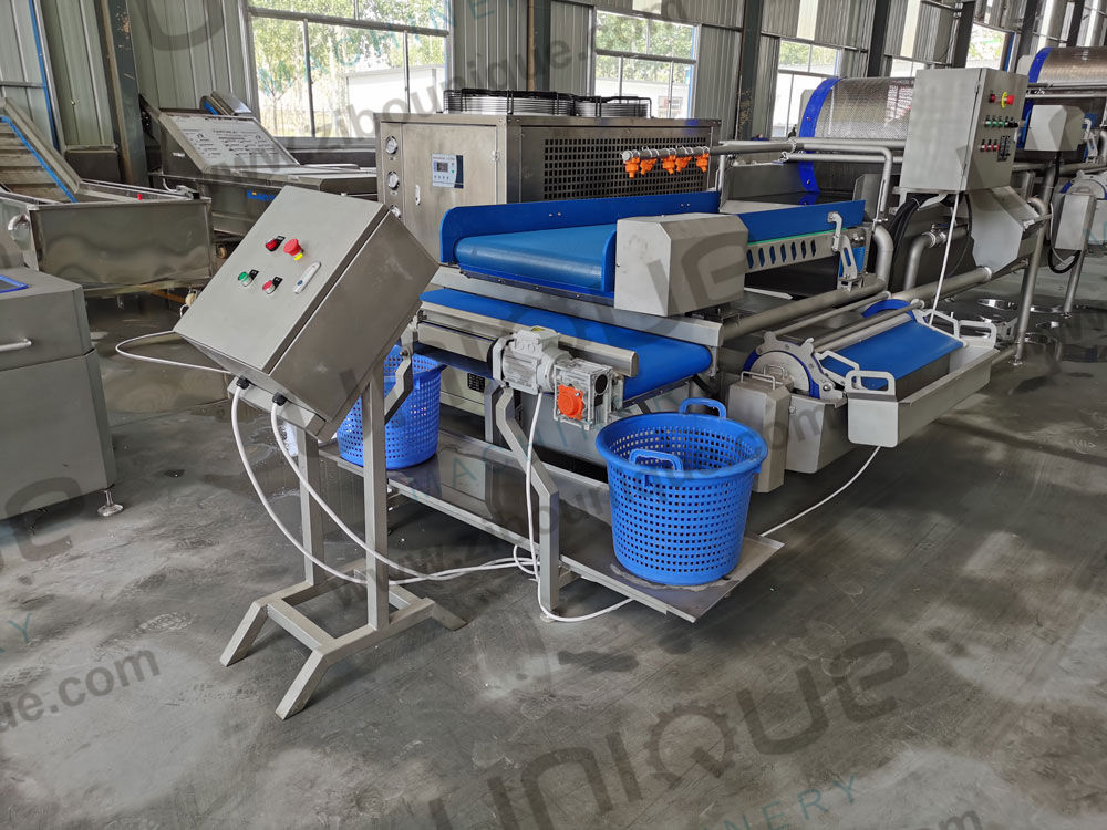 Restaurant and Food Processing Washing Machine Leafy Greens Baby Spinach Salad Vegetable