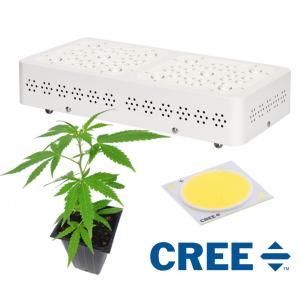 China Commercial Vegetable Led Grow Lights Used In Cannabis Chamber 50/60Hz factory