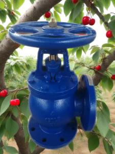 China ANSI angle valve factory