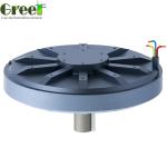 Low Speed Axial Flux Permanent Magnet Generator Coreless 5kw