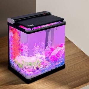 China Smart 4 Gallon Desktop Betta Office Fish Tank factory