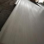 AISI Stainless Steel Sheet Plate Coil Strip 201 304 310S 316L 430 2205 904L