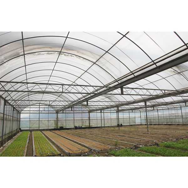 12-15 Meter Tunnel Width IGREEN Large Multi-Span Plastic Greenhouse for Plant Farming