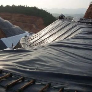 0.5mm 1mm 1.5mm Plastic Waterproof Aquaculture Geomembrane Hdpe Liner Fish Farm