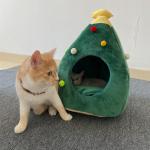 High Quality Cats Puppies Beds Washable Warm Pet Bed Luxury Christmas tree Cave