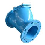 Customized Port Size DIN F6 Standard Y Strainer for Solid-Liquid Separation