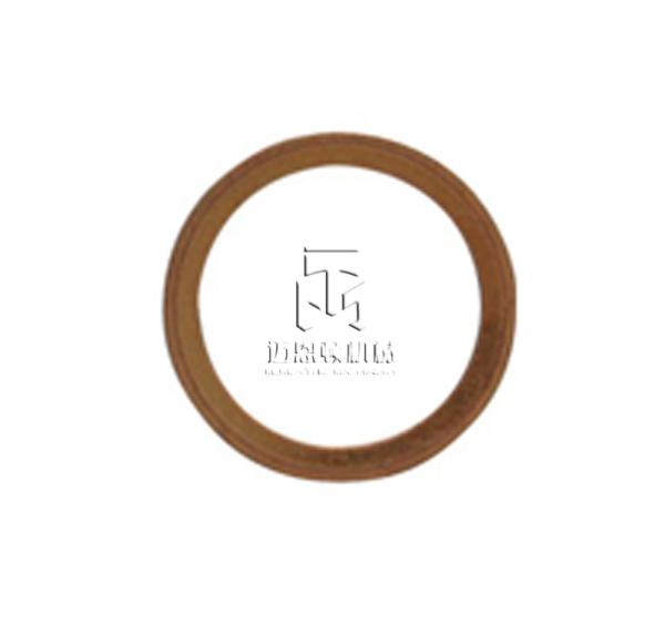 Seal Ring 107.239 007603010110 0101486 01118659 0111 8659 1118659 for DEUTZ