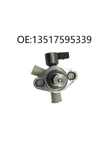 China Automotive Accessories High Pressure Fuel Pump OE 13517595339 factory