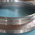 Aluminium Alloy Reggiani Zimmer Stork Endrings Printing Machine Spare Parts