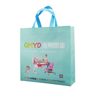 China Environmental Friendly Green Polypropylene Non Woven Bags Recyclable factory