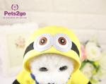 4kg M 38cm Chest Teddy Dog Apparel For Festival