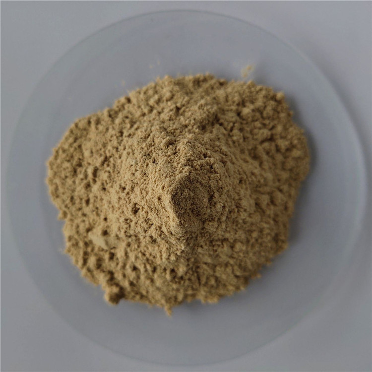 gmp health care product Extract nardostachys jatamansi with best price