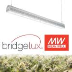 No Shading 300 Watt Led Grow Light , IP67 Waterproof Outdoor Grow Lights