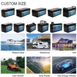 Enduring 12V LifePO4 Lithium Battery , 24V Electric Car LifePO4