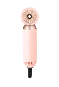 China Custom Logo Ionic Pet Hair Dryer Portable 800W Power Multipurpose factory