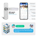 Pin Key IP55 French Security Aluminum Door Smart WIFI Door Lock